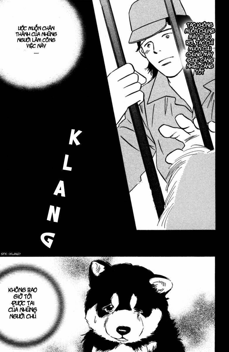 Deep Love - Pao No Monogatari Chương 5 Ảnh 21