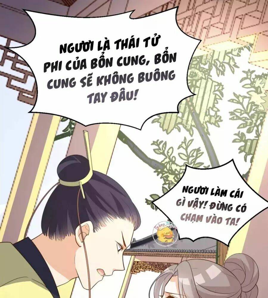 Trùng Sinh Chuyên Sủng Độc Phi Của Nhiếp Chính Vương Chương 51 Ảnh 34