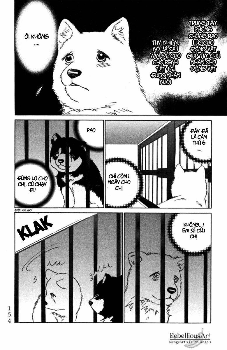 Deep Love - Pao No Monogatari Chương 5 Ảnh 16