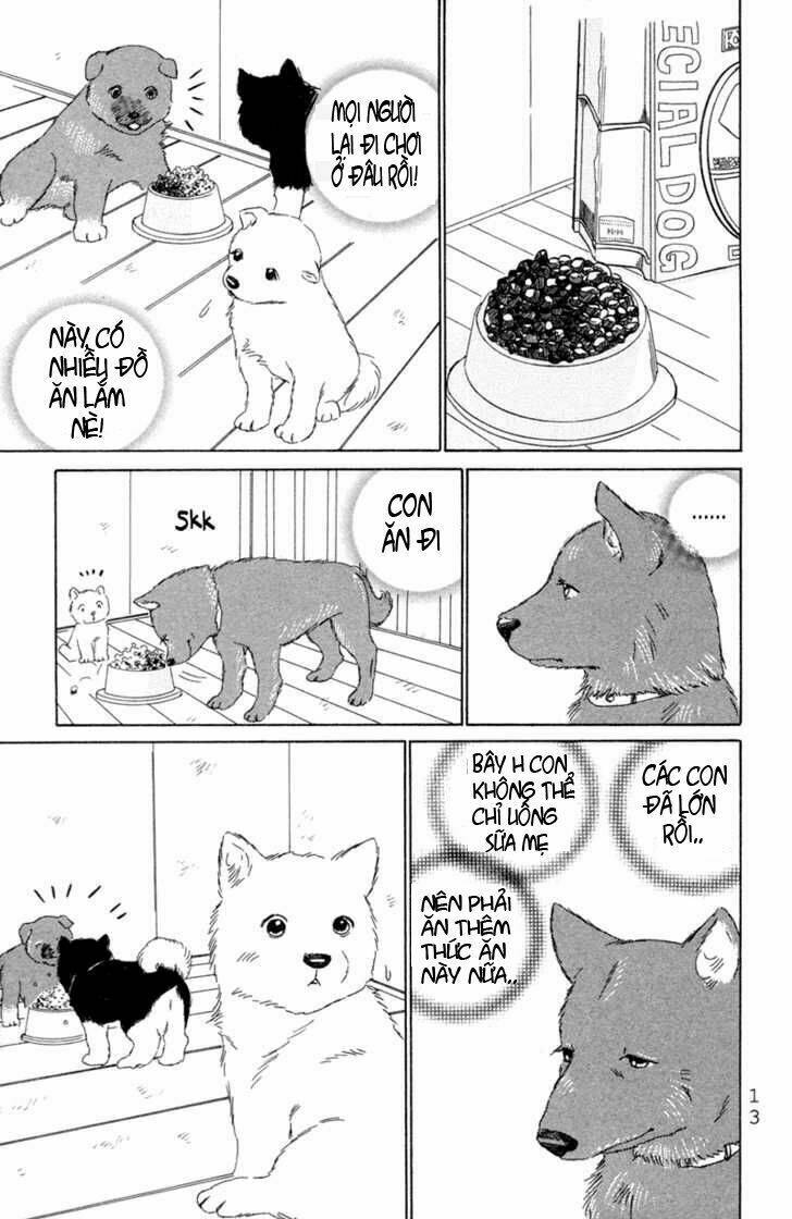 Deep Love - Pao No Monogatari Chương 1 Ảnh 17