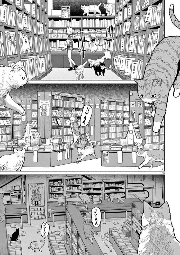 Kaii To Otome To Kamigakushi Chương 47 Ảnh 11