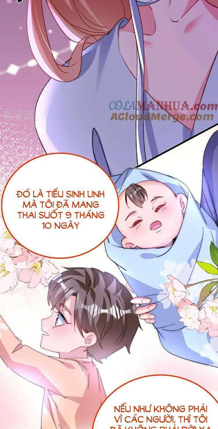 Hôm Nay Từ Chối Lục Tiên Sinh Chưa? Chương 195 Ảnh 30