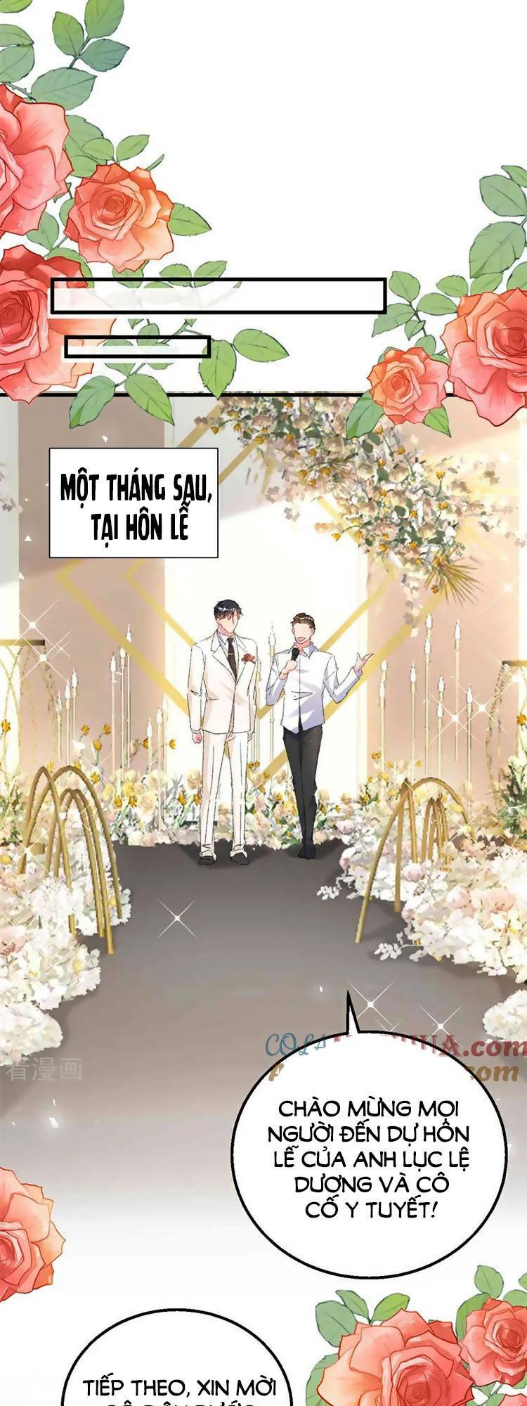Hôm Nay Từ Chối Lục Tiên Sinh Chưa? Chương 205 Ảnh 22