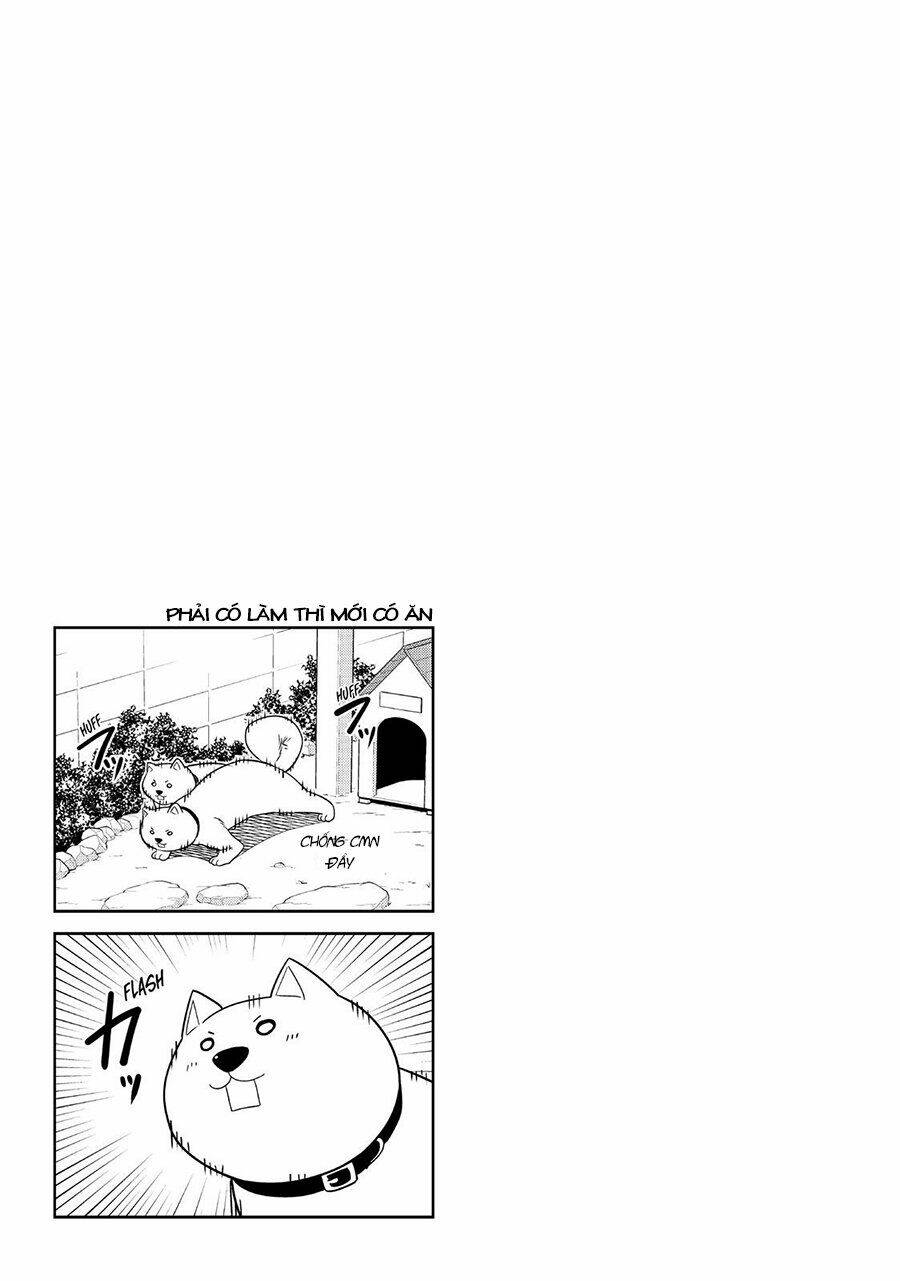 Aho Girl Chương 121 Ảnh 27