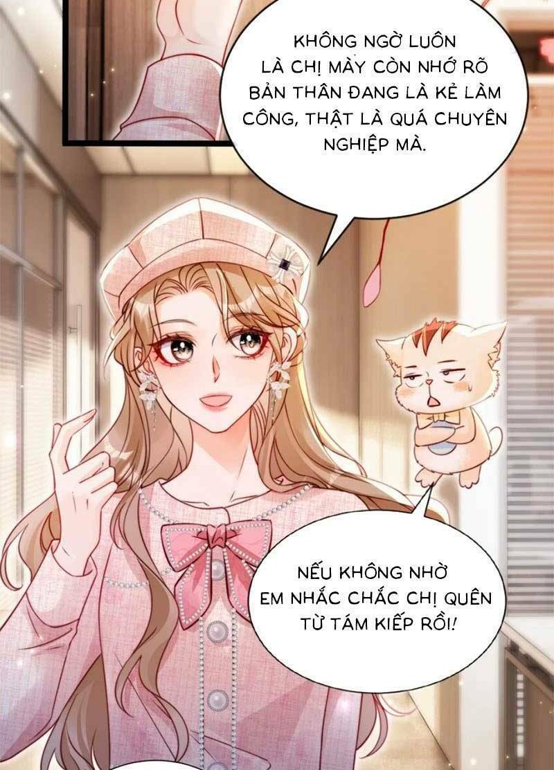 Phá Vỡ Kế Hoạch Của Tra Nam Tôi Về Bên Đại Boss Chương 47 Ảnh 3