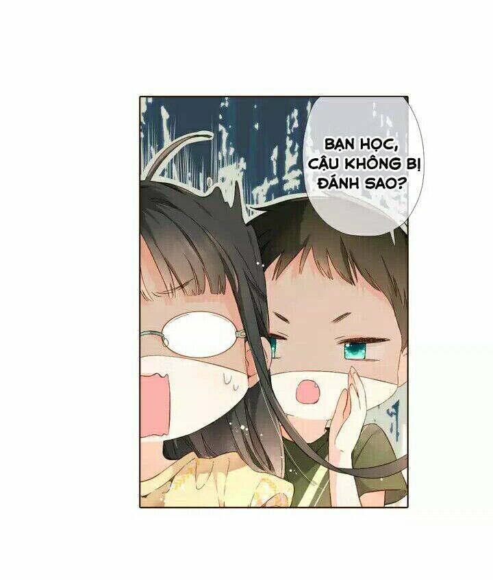 Tình Yêu Là Màu Hoa Anh Thảo Chương 28.2 Ảnh 41