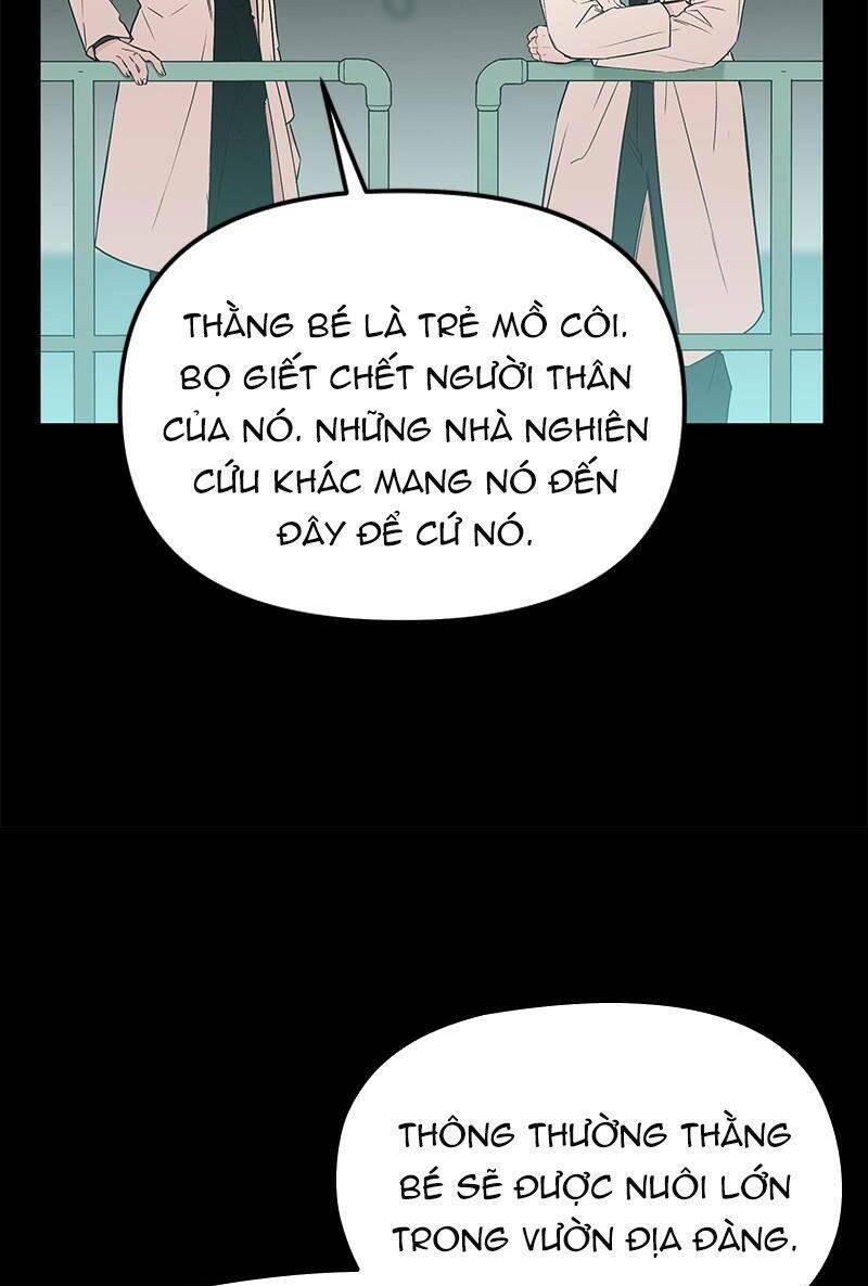 BưƠM BưỚM Và MáU Chương 50 Ảnh 80