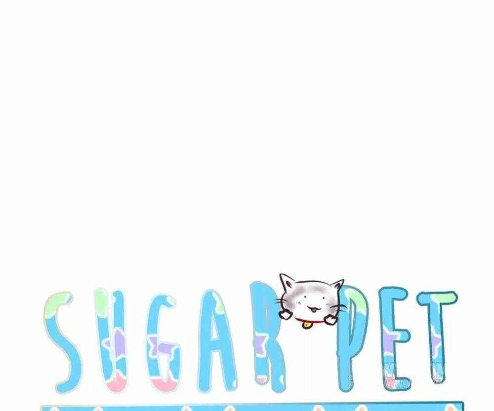 Sugar Pet Chương 7 Ảnh 10