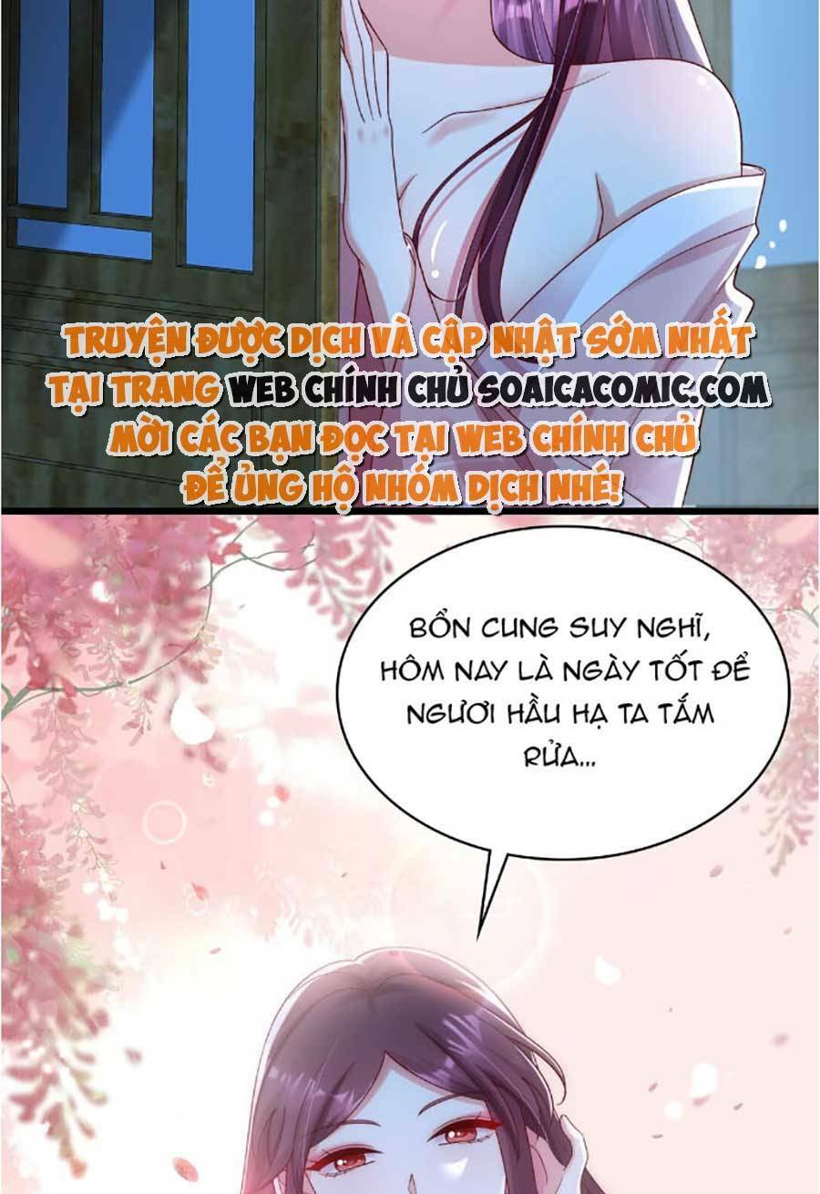 Ta Live Stream Ngược Đãi Nam Chính Chương 17 Ảnh 23