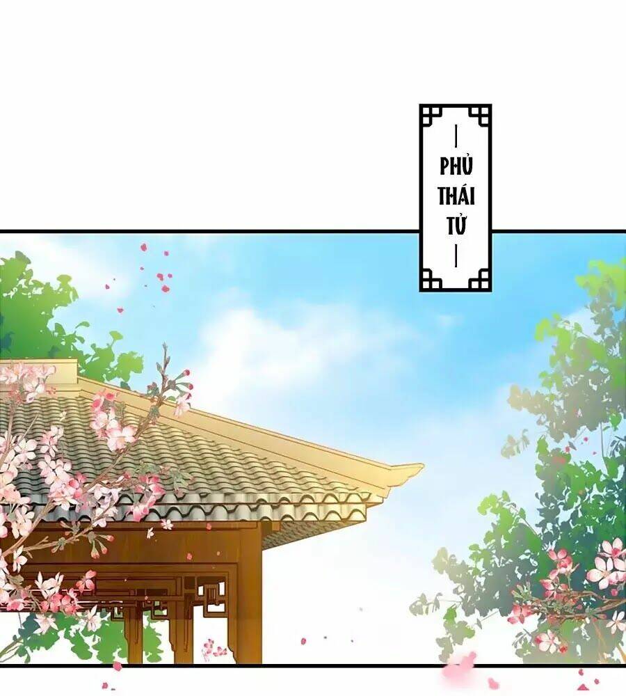 Thịnh Thế Lê Hoa Điện Chương 86 Ảnh 46