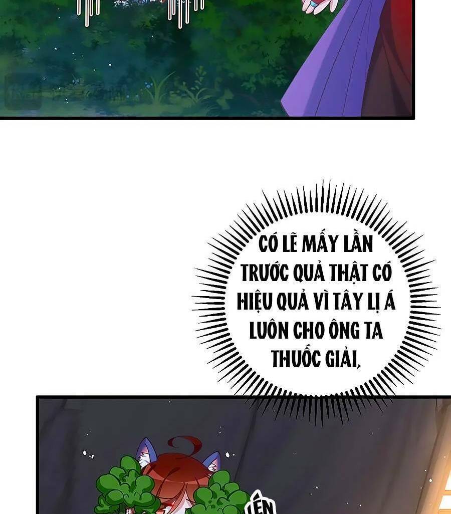 Manh Sư Tại Thượng Chương 475 Ảnh 20