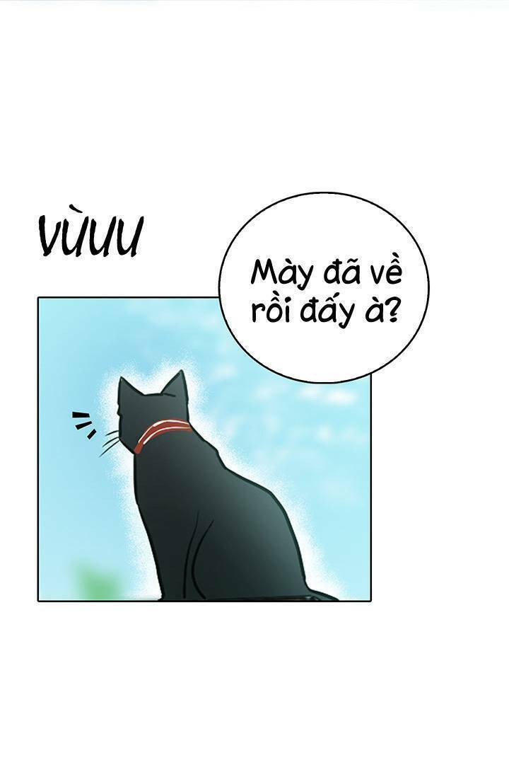 Cô Dâu Của Miêu Hoàng Tử Chương 4 Ảnh 60