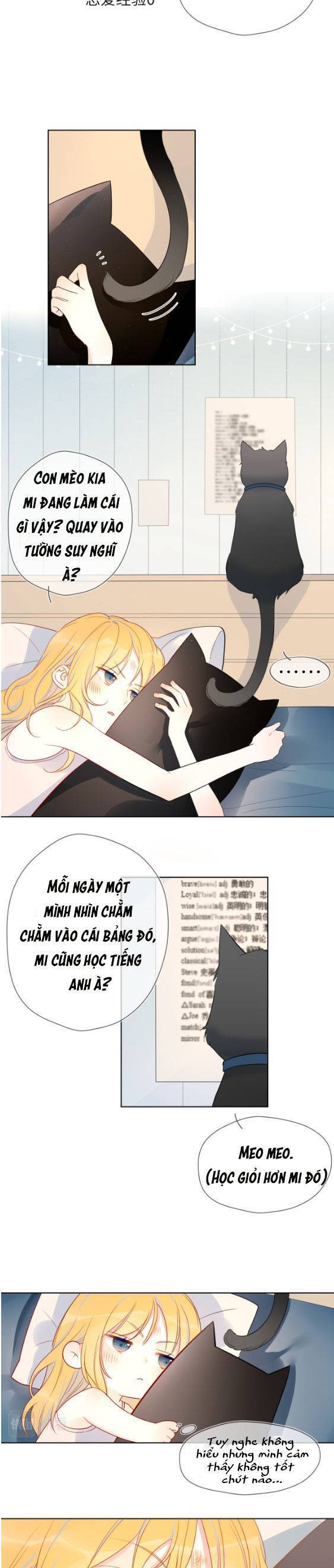 Ngôi Sao May Mắn Dành Cho Tôi Chương 6 Ảnh 3