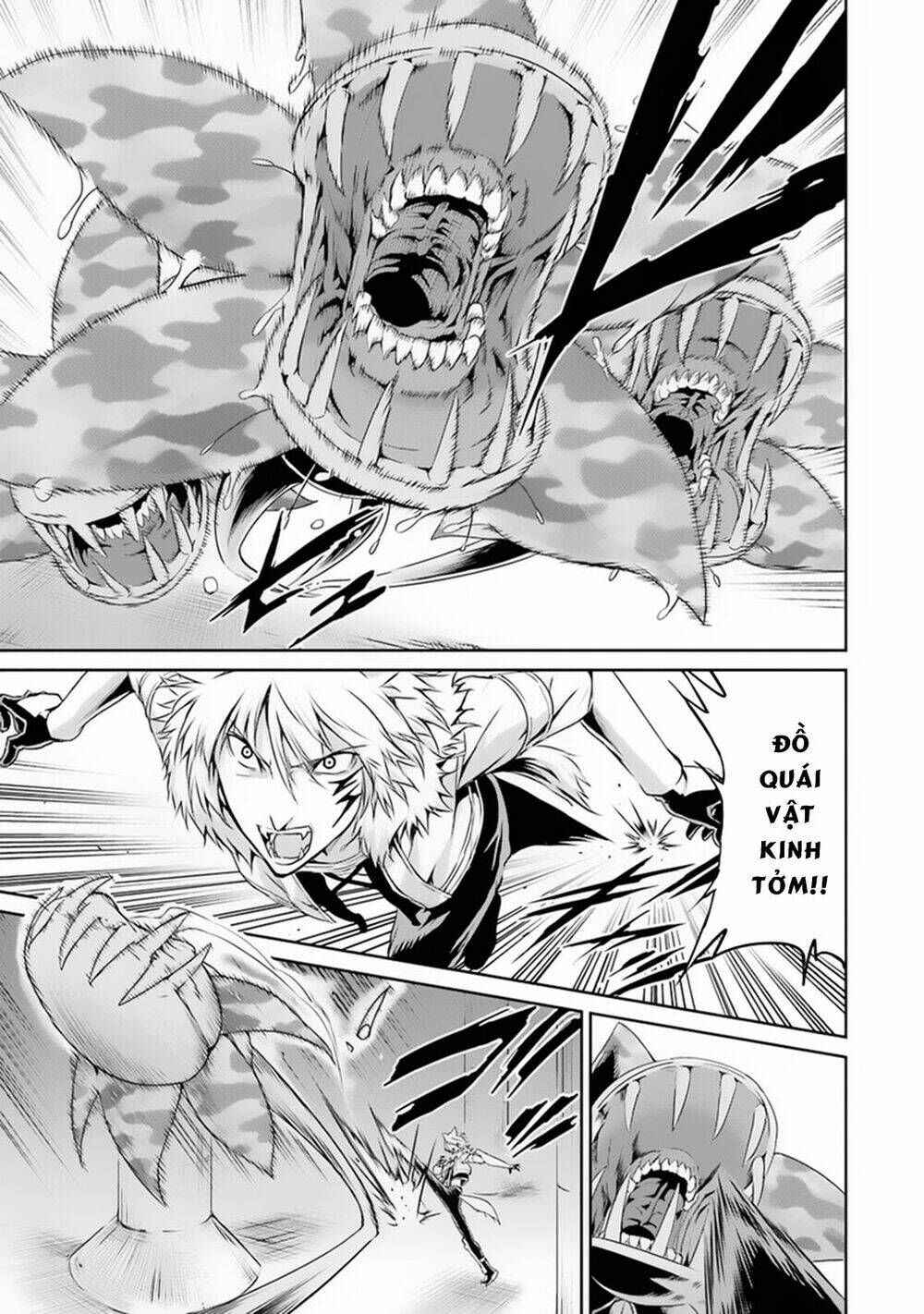 Dungeon Ni Deai Wo Motomeru No Wa Machigatte Iru Darou Ka Gaiden - Sword Oratoria Chương 10 Ảnh 25