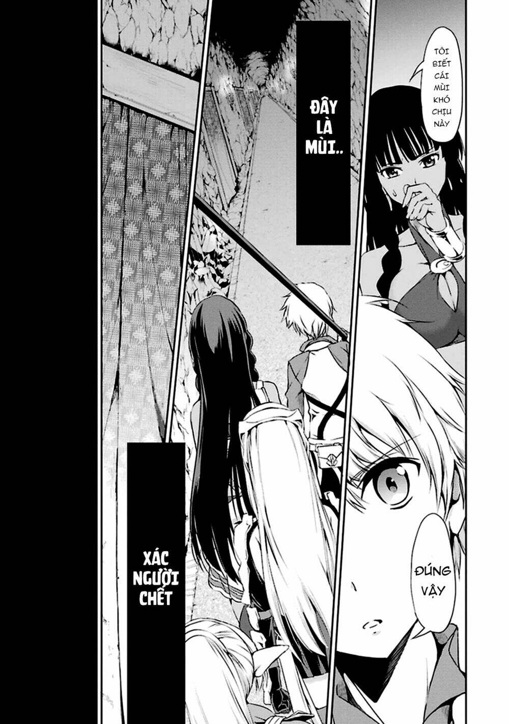 Dungeon Ni Deai Wo Motomeru No Wa Machigatte Iru Darou Ka Gaiden - Sword Oratoria Chương 9 Ảnh 24