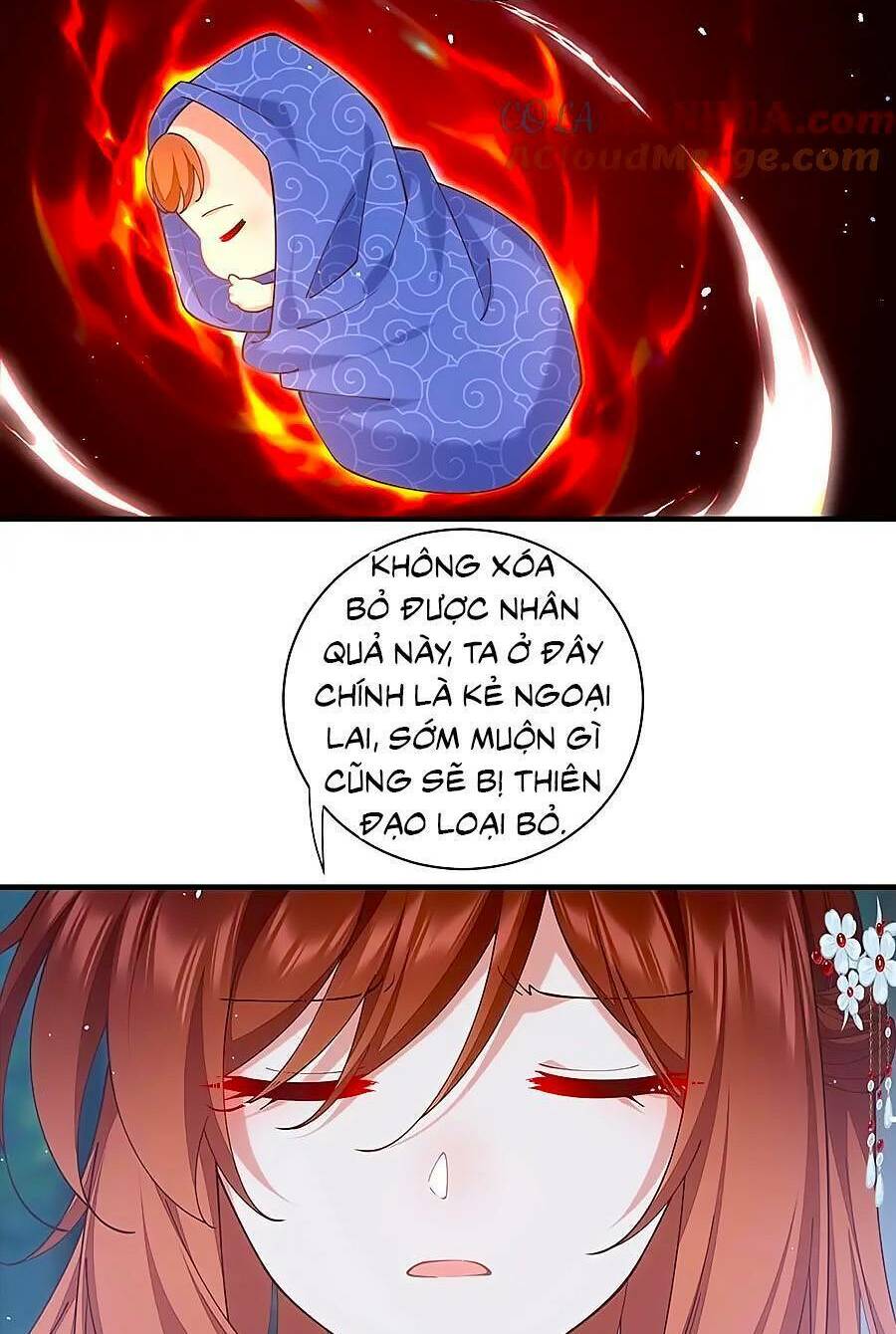 Manh Sư Tại Thượng Chương 478 Ảnh 8