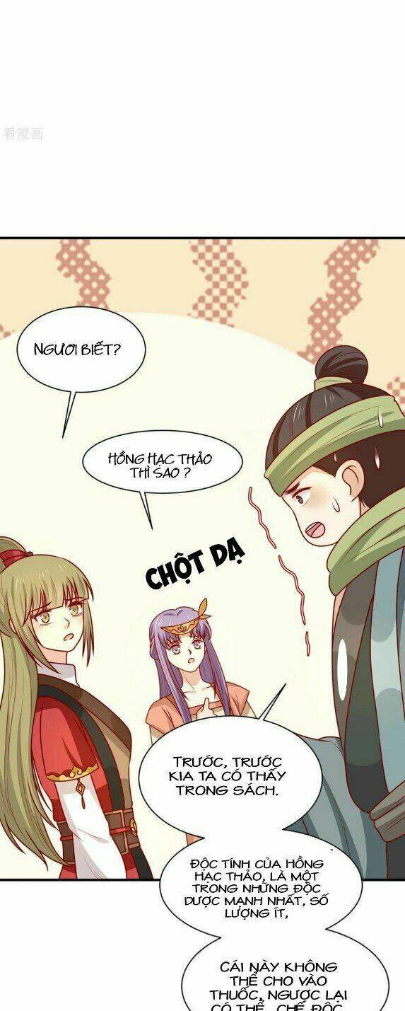 Vương Gia Người Ta Sẽ Giảm Béo Mà!!! Chương 174 Ảnh 11