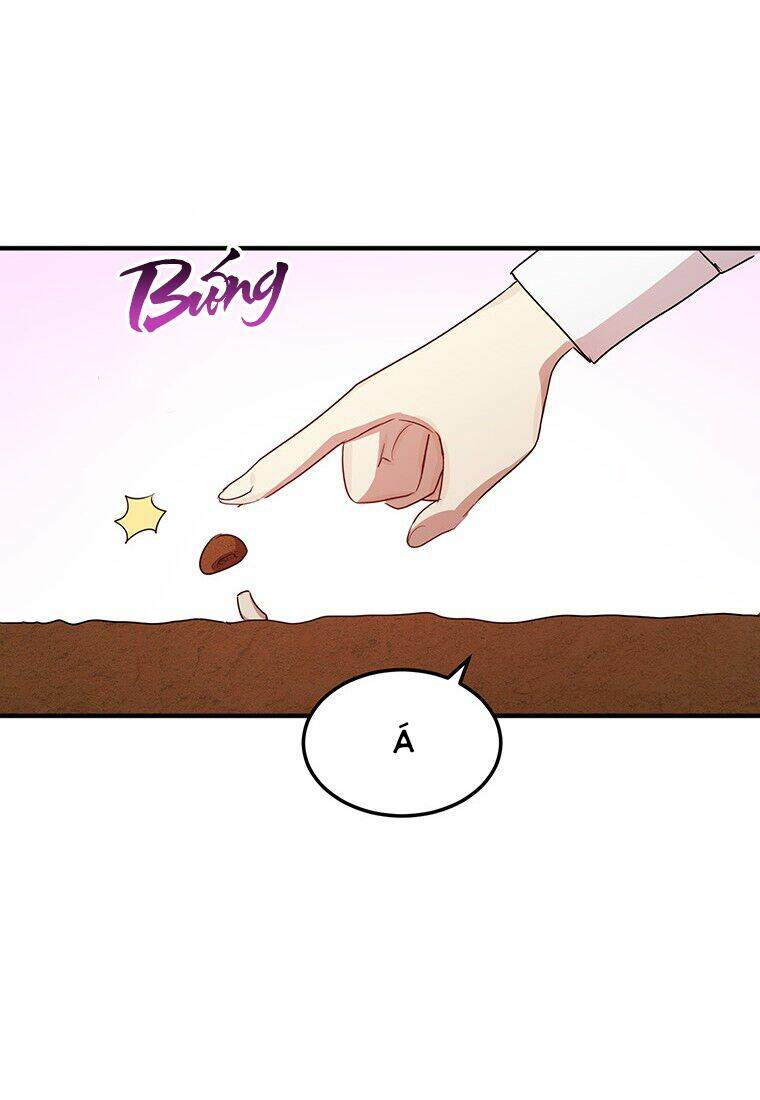 Công Tước, Loạn Vừa Thôi! Chương 122 Ảnh 66