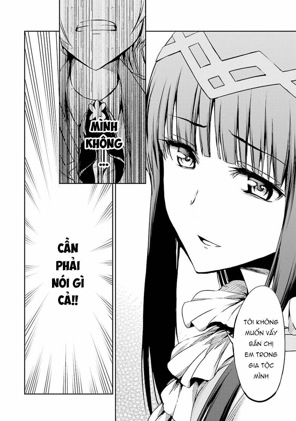 Dungeon Ni Deai Wo Motomeru No Wa Machigatte Iru Darou Ka Gaiden - Sword Oratoria Chương 20 Ảnh 40
