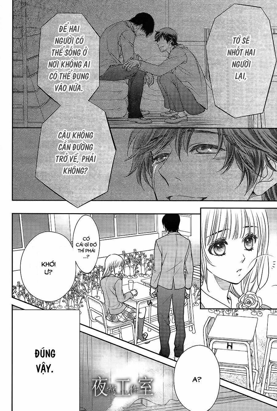 Nanoka No Kare Chương 61 Ảnh 8