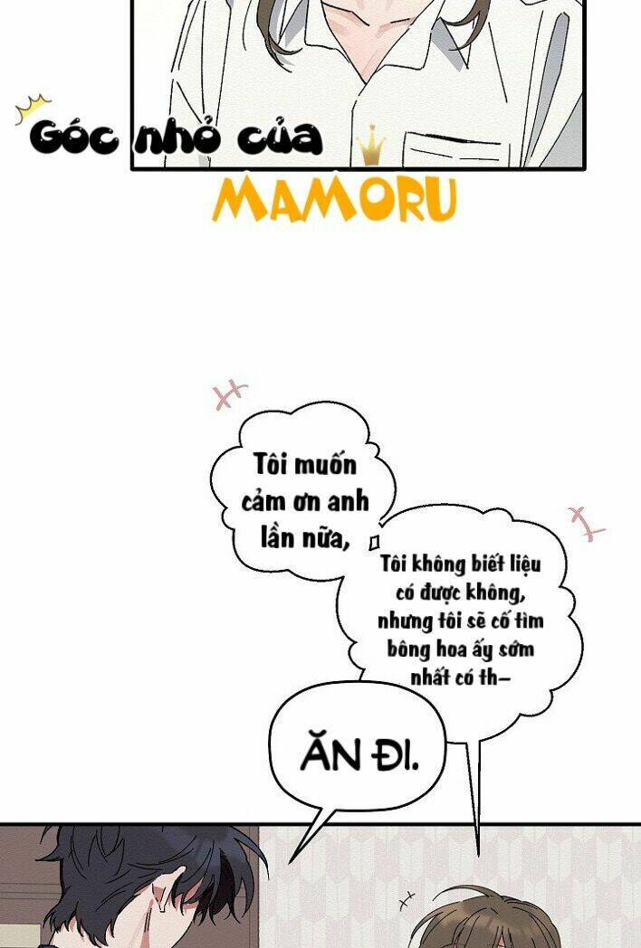 Tặng Tôi Một Đoá Hoa, Tôi Sẽ Trao Em Bản Thân Mình Chương 5 Ảnh 4