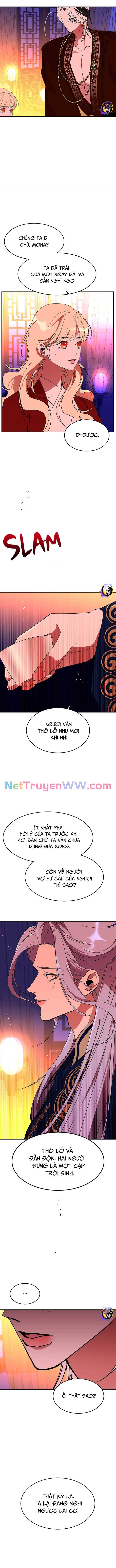 Chiến Lược Săn Hổ Của Nữ Thần Chương 64 Ảnh 12