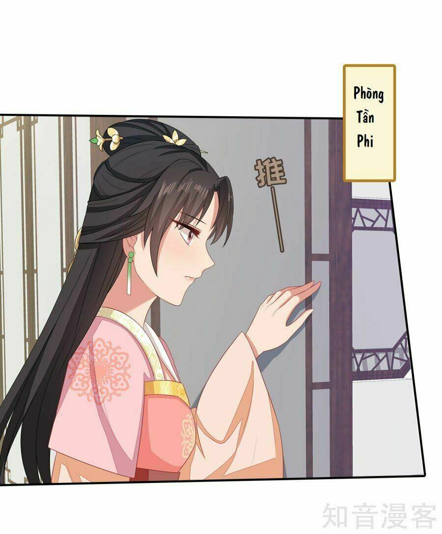 Tà Vương Thần Phi: Y Thủ Che Thiên Chương 14 Ảnh 15