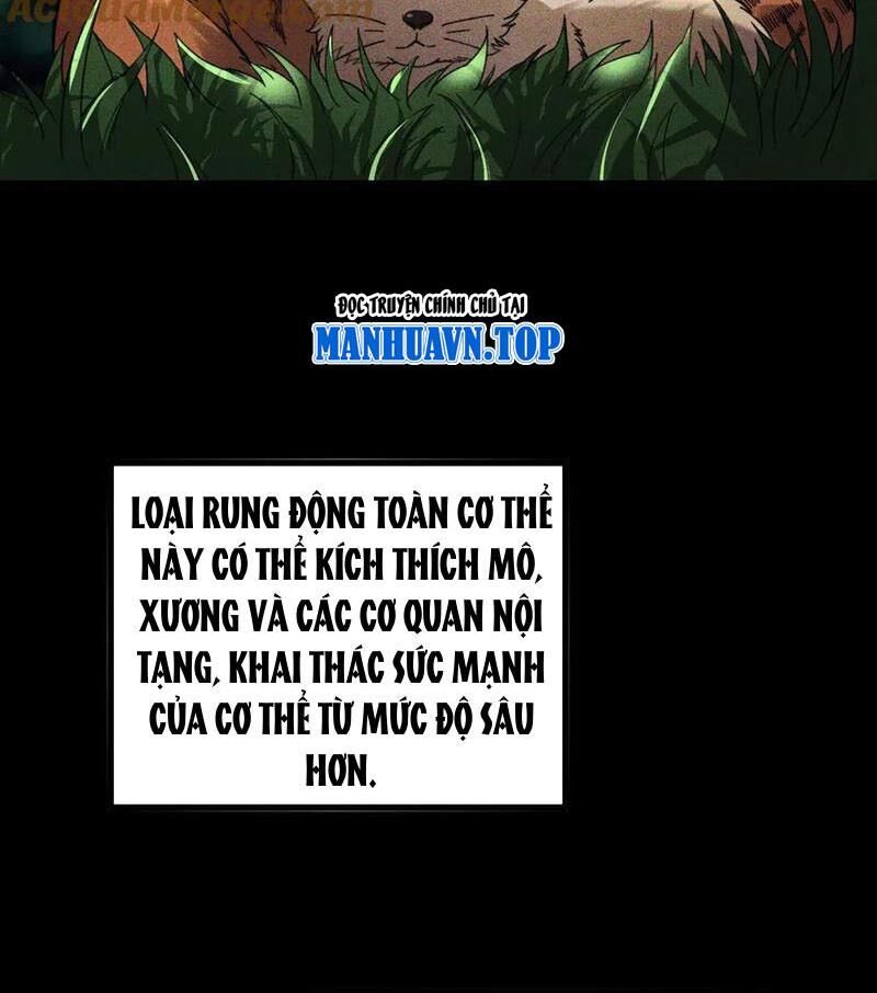Sau Khi Chết, Ta Trở Thành Võ Đạo Thiên Ma Chương 26 Ảnh 13