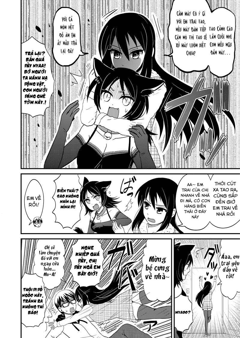 Kyoudai Hodo Chikaku Tooimono Wa Nai Chương 117 Ảnh 10