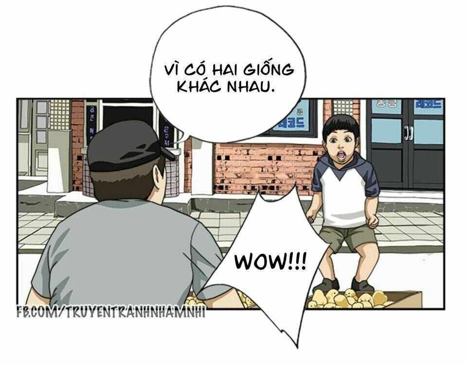 Cậu Bé Lập Dị Chương 14 Ảnh 5