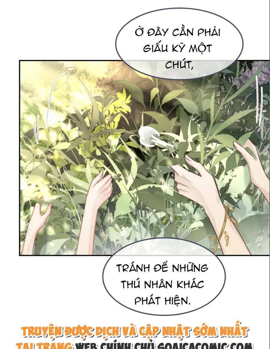 Xuyên Nhanh Nữ Phụ Bình Tĩnh Chút Chương 159 Ảnh 52