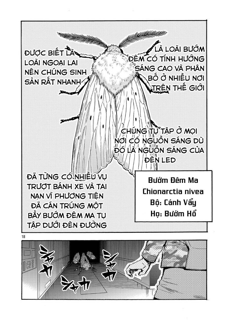 Siêu Đảo Côn Trùng Chương 49.5 Ảnh 21
