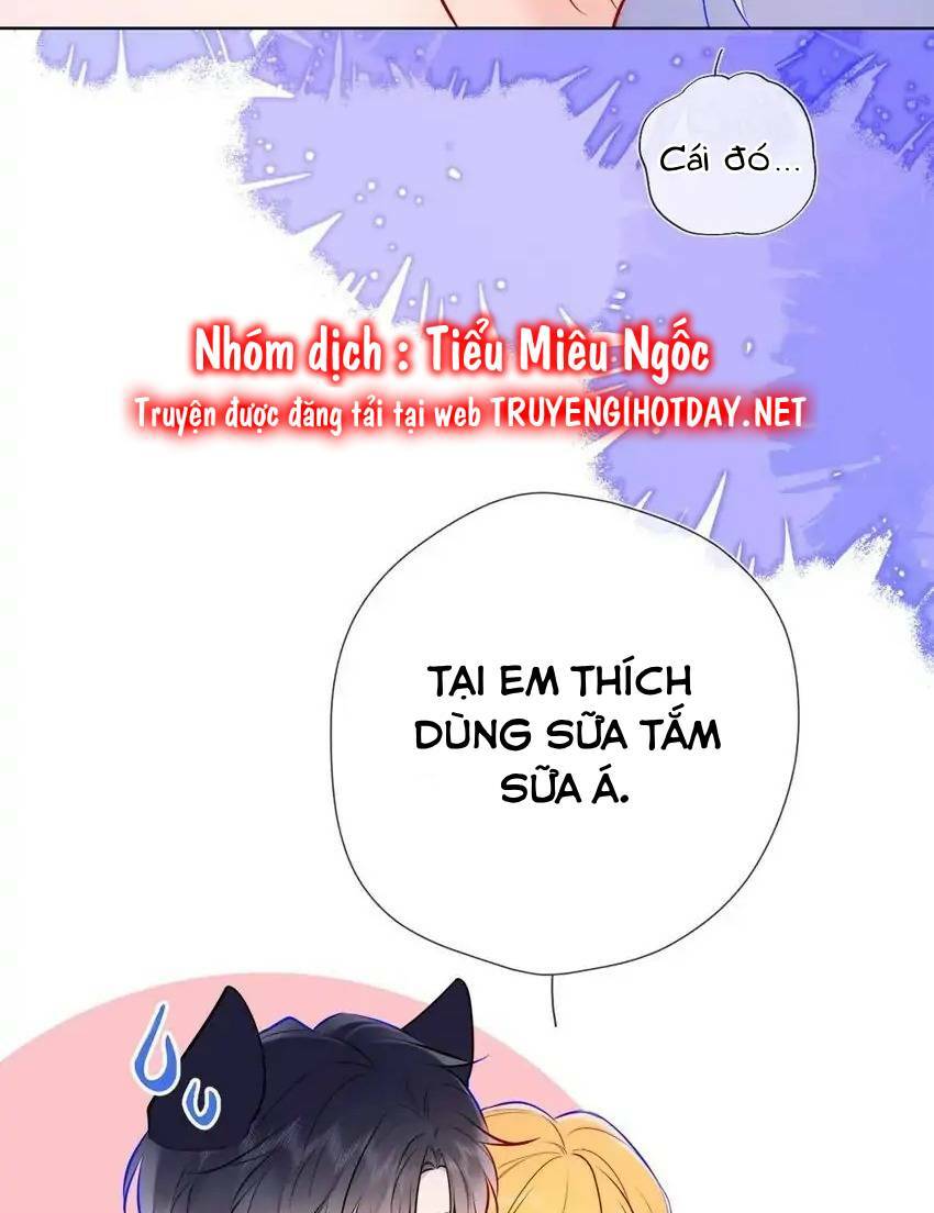 Ngôi Sao Cho Tôi Chương 144 Ảnh 24