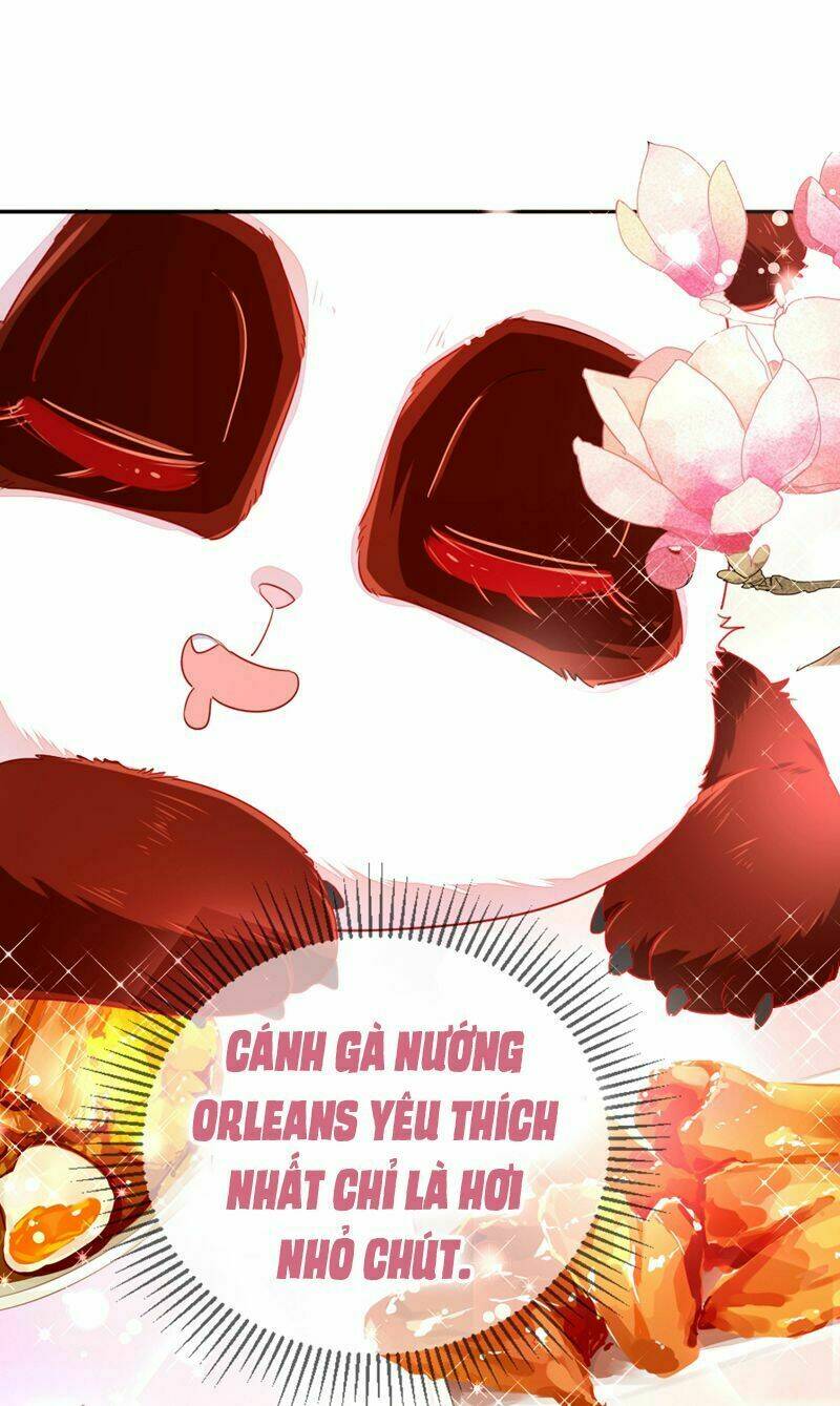 Thiên Thần Gấu Trúc Muốn Được Ôm Chương 41 Ảnh 5