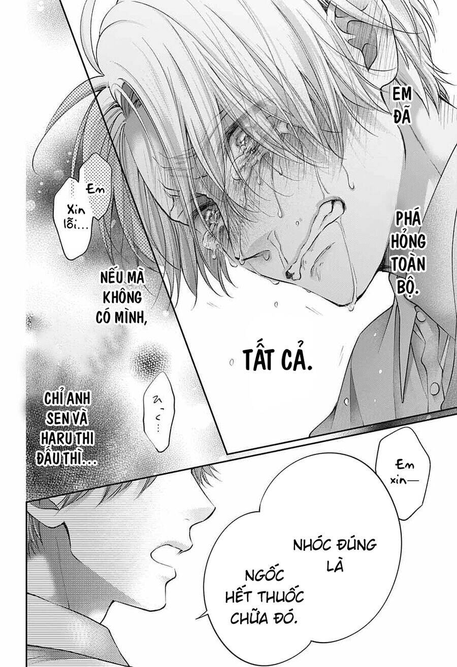 Kono Oto Tomare! Chương 123 Ảnh 31