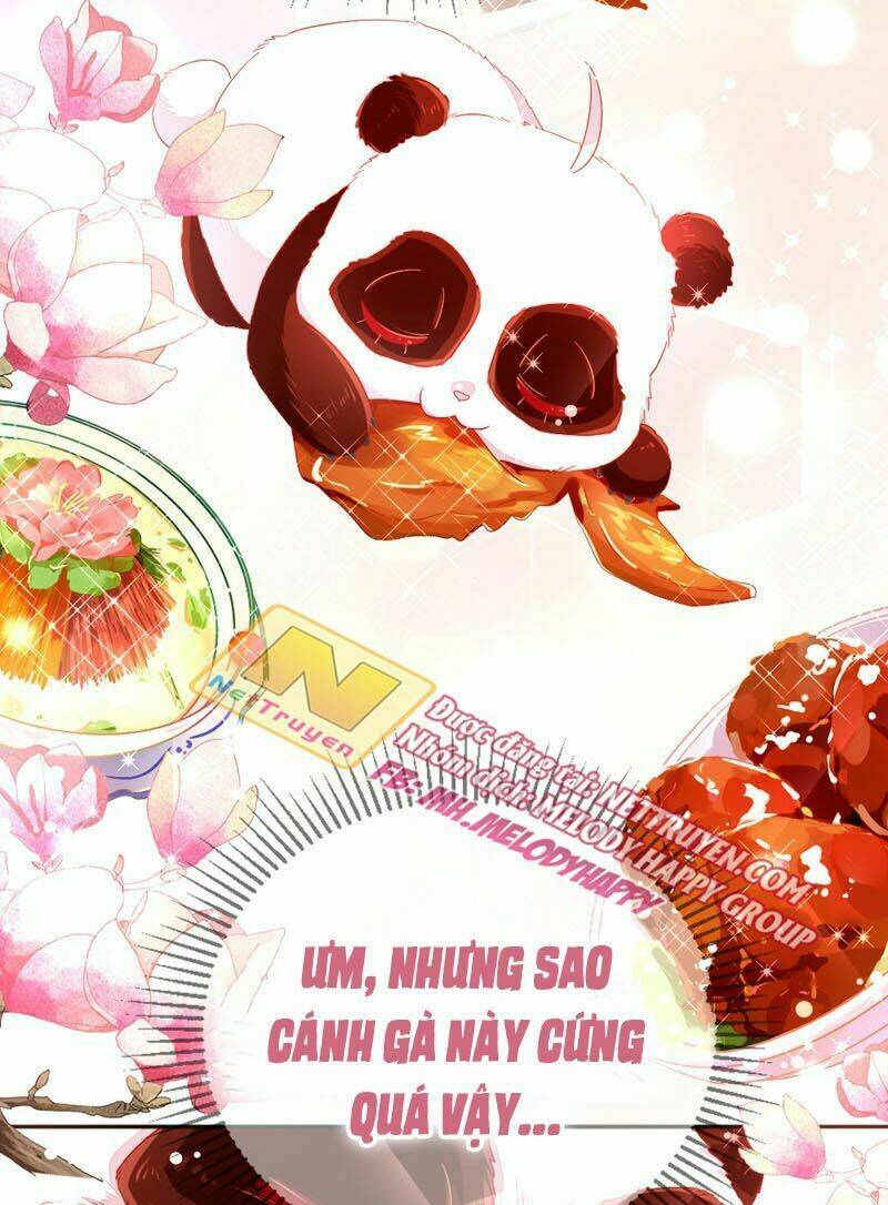 Thiên Thần Gấu Trúc Muốn Được Ôm Chương 41 Ảnh 6