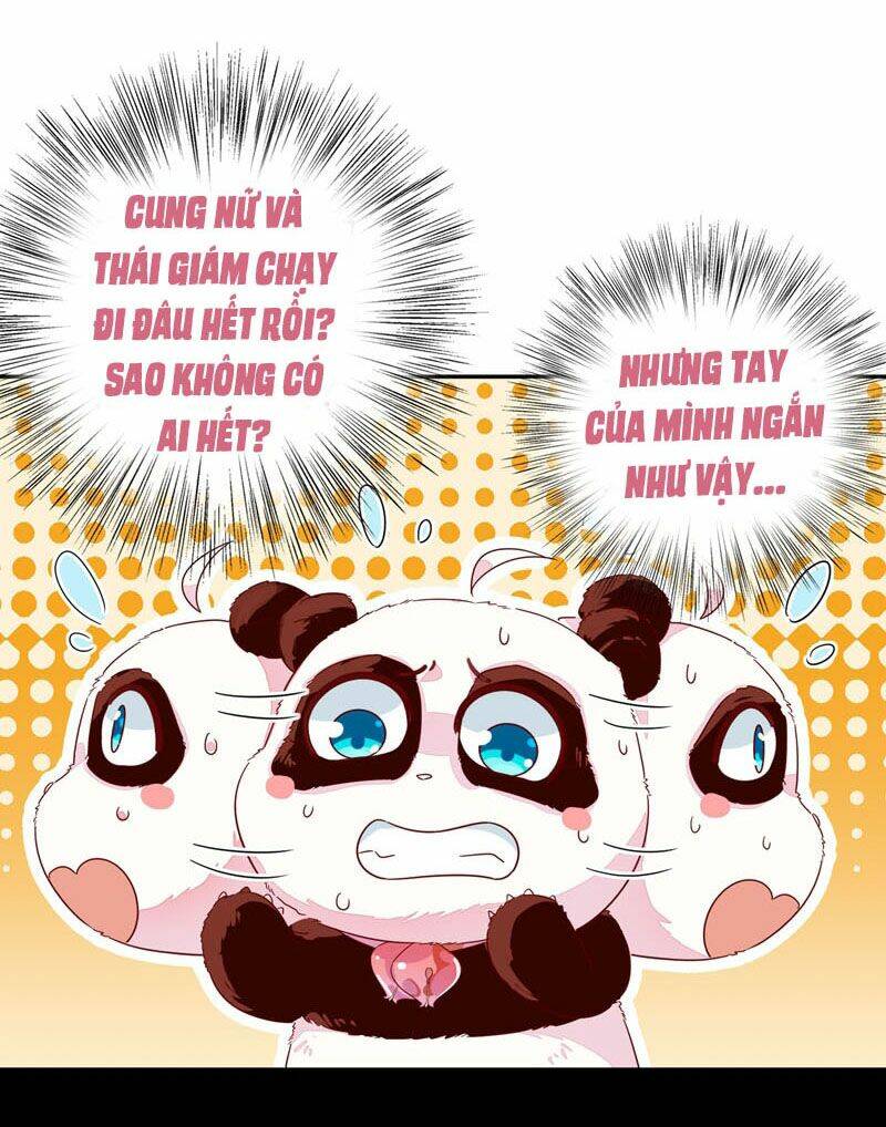 Thiên Thần Gấu Trúc Muốn Được Ôm Chương 47 Ảnh 4