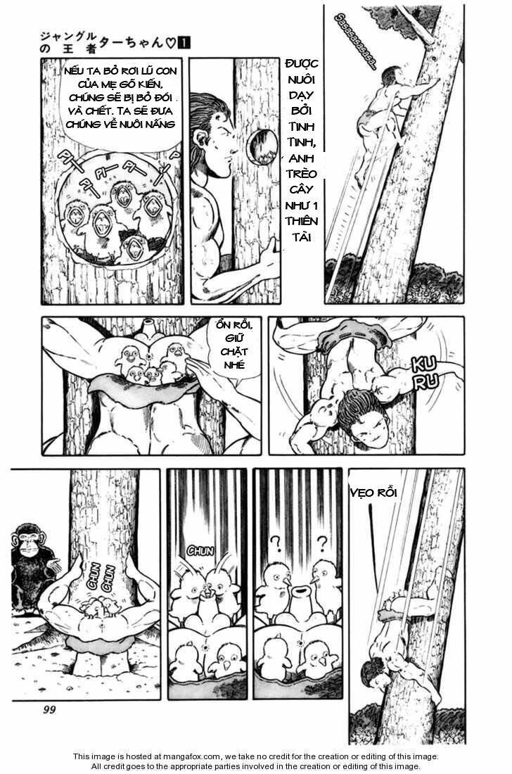 Chúa Rừng Ta-Chan Chương 13 Ảnh 5
