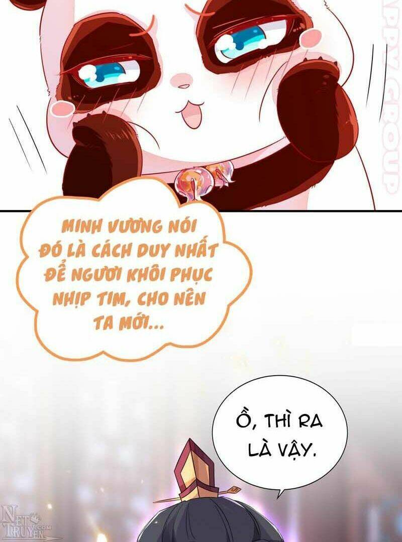Thiên Thần Gấu Trúc Muốn Được Ôm Chương 56 Ảnh 13
