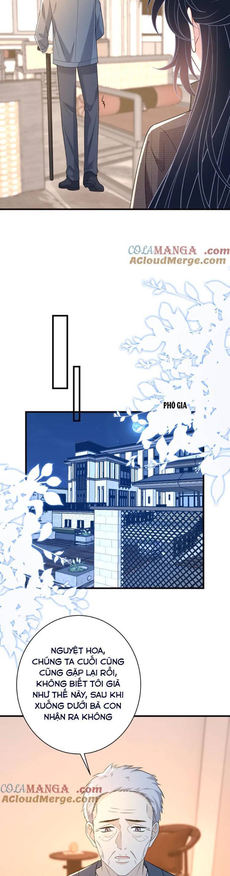 Thiên Kim Toàn Năng Đại Tài Chương 171 Ảnh 11