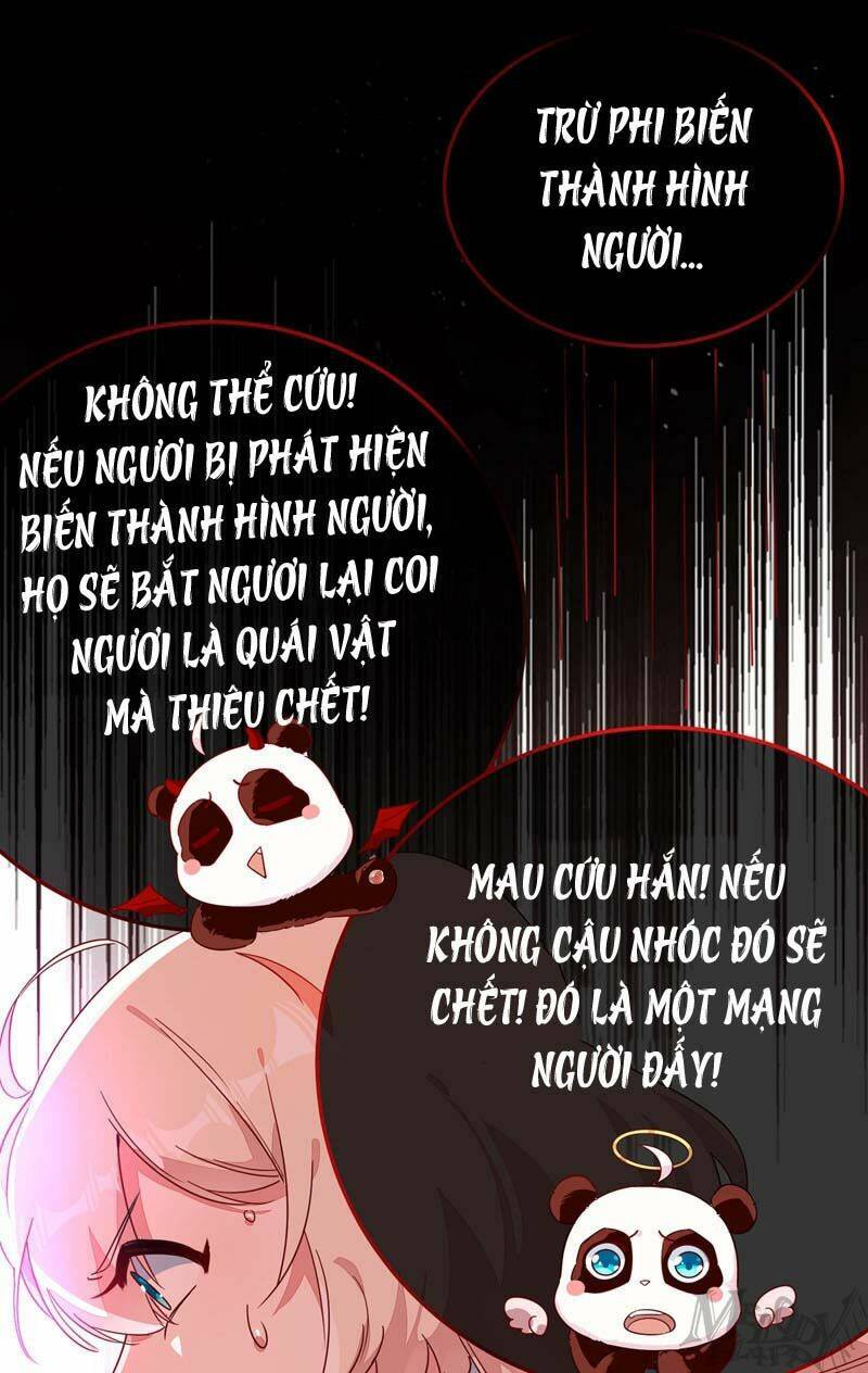 Thiên Thần Gấu Trúc Muốn Được Ôm Chương 47 Ảnh 5