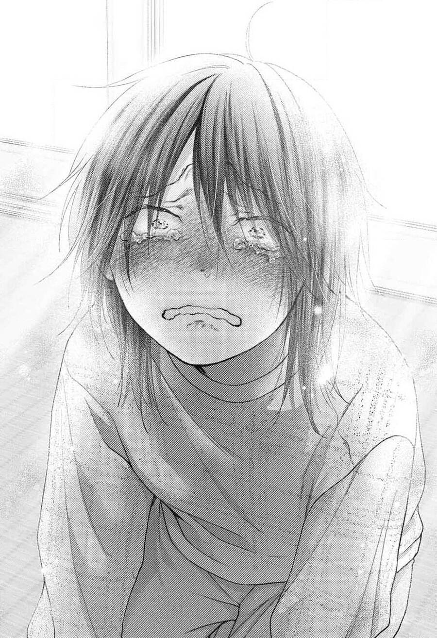 Kono Oto Tomare! Chương 130 Ảnh 33