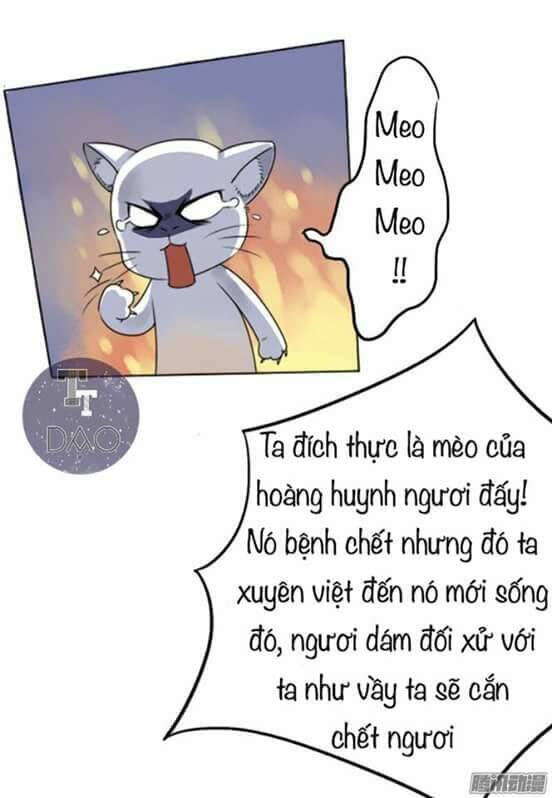Hoàng Thái Tử, Xin Nhận Nuôi Em! Chương 2 Ảnh 8