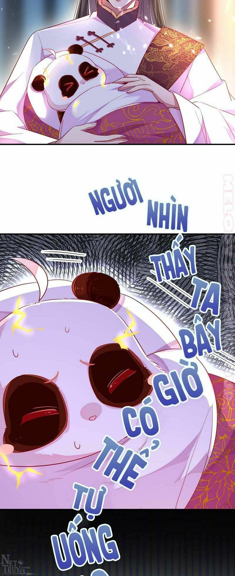 Thiên Thần Gấu Trúc Muốn Được Ôm Chương 53 Ảnh 11