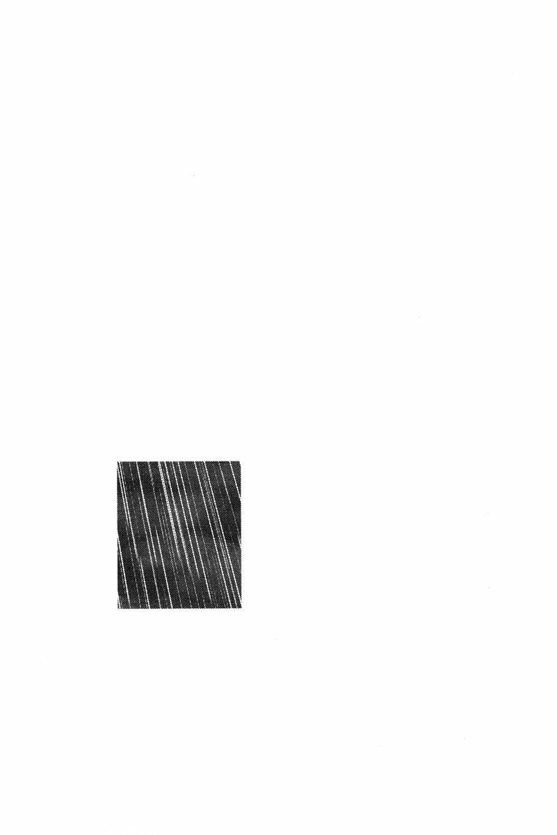 Nijigahara Holograph Chương 1 Ảnh 19
