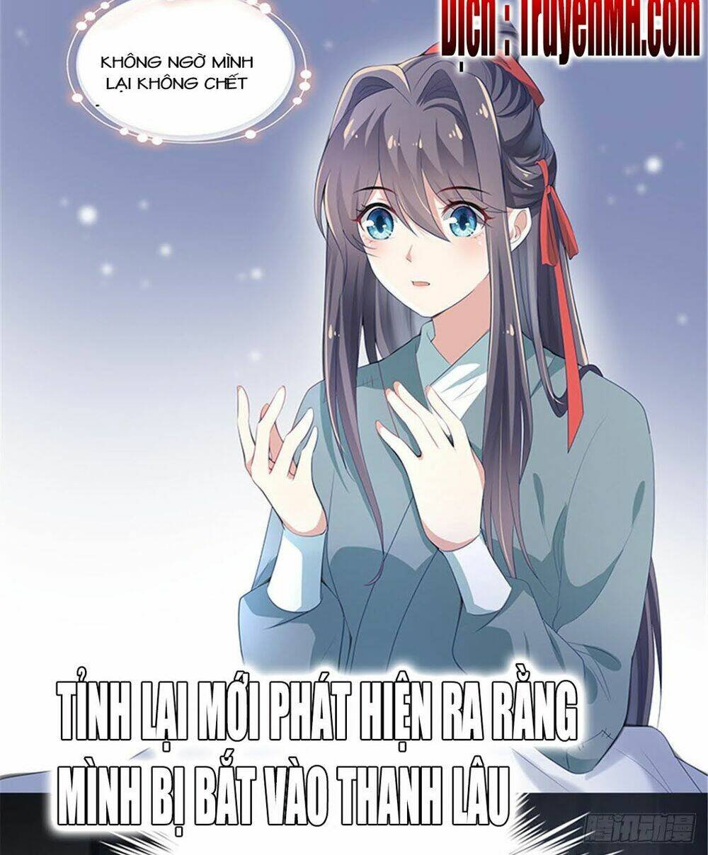 Tuyệt Sắc Nữ Y Chương 0 Ảnh 6