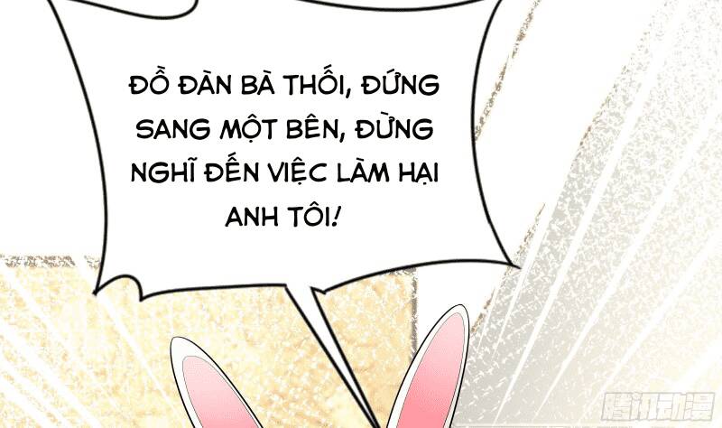 Các Cô Gái Tai Thú Đều Muốn Độc Chiếm Tôi Chương 11 Ảnh 55