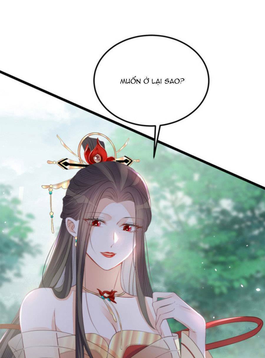 Giao Nhân Đệ Đệ Lại Cắn Ta! Chương 8 Ảnh 3