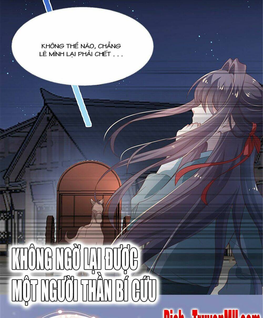 Tuyệt Sắc Nữ Y Chương 0 Ảnh 5