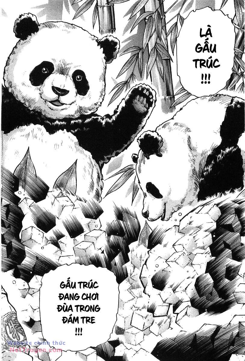 Trung Hoa Tiểu Đầu Bếp - Chuuka Ichiban Chương 81 Ảnh 7